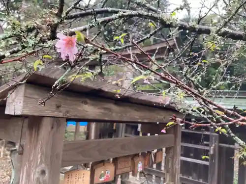 小御門神社(千葉県)