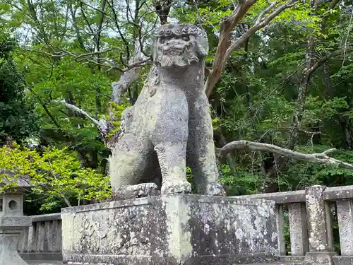 一之宮貫前神社の狛犬