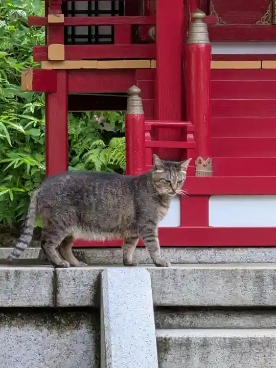 白金氷川神社(東京都)
