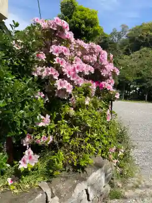 子之神社の{uncategorized: "未分類", other: "その他", undefined: "問題あり", building: "その他建物", grave: "お墓", sacred_gate: "鳥居", guardian: "狛犬", statue: "像", buddha: "仏像", history: "歴史", nature: "自然", garden: "庭園", animal: "動物", pagoda: "塔", temizu: "手水舎", mountain_gate: "山門・神門", sanctuary: "本殿・本堂", subordinate: "末社・摂社", art: "芸術", scenery: "景色", jizo: "地蔵", ema: "絵馬", goshuin: "御朱印", omikuji: "おみくじ", items: "授与品その他", amulet: "お守り", goshuincho: "御朱印帳", eats: "食事", festival: "お祭り", votive_dance: "神楽", shichigosan: "七五三参", wedding: "結婚式", experience: "体験その他", initially: "初詣", around: "周辺", anti_infection: "感染症対策"}