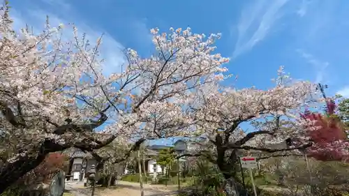 橋寺 放生院(京都府)