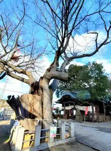 阿邪訶根神社(福島県)