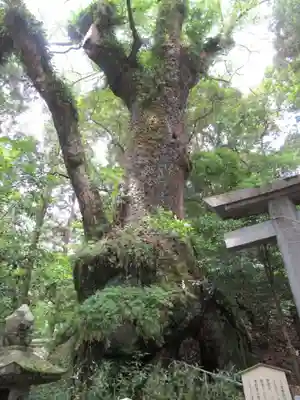 東霧島神社(宮崎県)