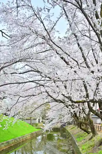 安禅寺(新潟県)