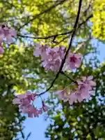白幡八幡神社(神奈川県)