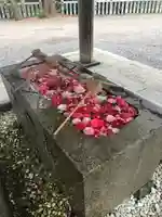 函館八幡宮の手水舎