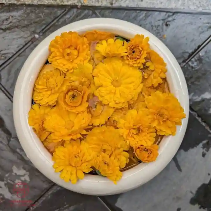 立志神社(滋賀県)