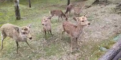 東大寺(奈良県)