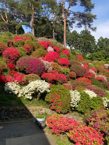塩船観音寺(東京都)
