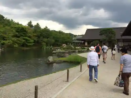 天龍寺の庭園