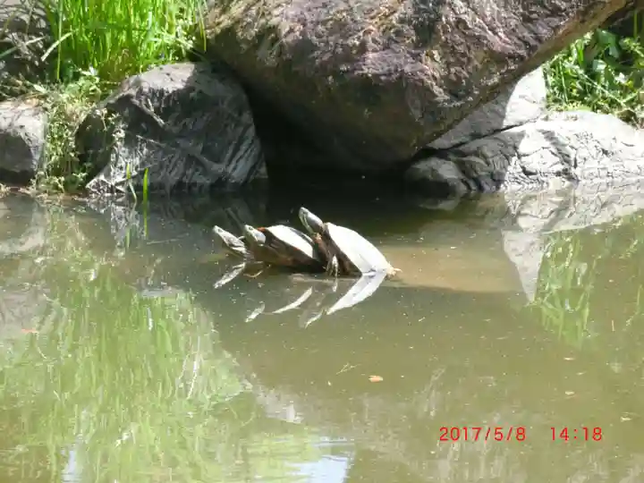 吉備津彦神社(岡山県)