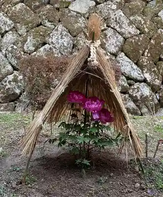 長谷寺(奈良県)