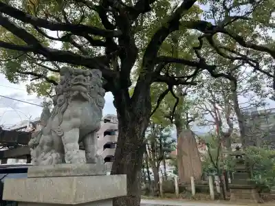 徳持神社の{uncategorized: "未分類", other: "その他", undefined: "問題あり", building: "その他建物", grave: "お墓", sacred_gate: "鳥居", guardian: "狛犬", statue: "像", buddha: "仏像", history: "歴史", nature: "自然", garden: "庭園", animal: "動物", pagoda: "塔", temizu: "手水舎", mountain_gate: "山門・神門", sanctuary: "本殿・本堂", subordinate: "末社・摂社", art: "芸術", scenery: "景色", jizo: "地蔵", ema: "絵馬", goshuin: "御朱印", omikuji: "おみくじ", items: "授与品その他", amulet: "お守り", goshuincho: "御朱印帳", eats: "食事", festival: "お祭り", votive_dance: "神楽", shichigosan: "七五三参", wedding: "結婚式", experience: "体験その他", initially: "初詣", around: "周辺", anti_infection: "感染症対策"}