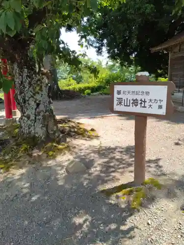 深山神社(福島県)