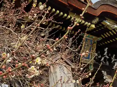 北野天満宮(京都府)