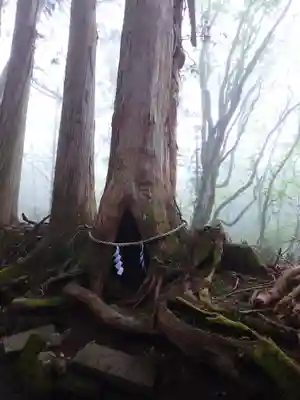戸隠神社奥社(長野県)
