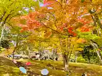 土津神社|こどもと出世の神さま(福島県)