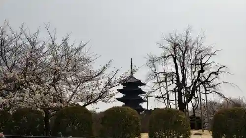 東寺（教王護国寺）(京都府)