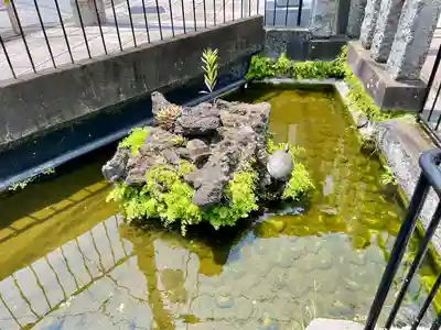 嚴島神社(千葉県)