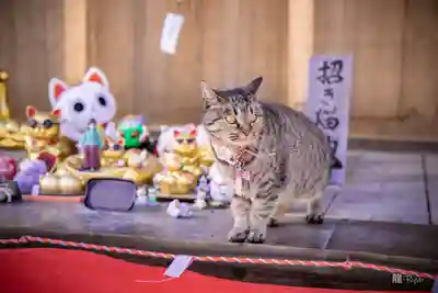 正一位 若草稲荷神社(宮城県)