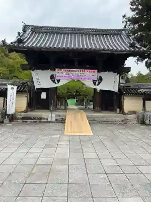 誕生寺の{uncategorized: "未分類", other: "その他", undefined: "問題あり", building: "その他建物", grave: "お墓", sacred_gate: "鳥居", guardian: "狛犬", statue: "像", buddha: "仏像", history: "歴史", nature: "自然", garden: "庭園", animal: "動物", pagoda: "塔", temizu: "手水舎", mountain_gate: "山門・神門", sanctuary: "本殿・本堂", subordinate: "末社・摂社", art: "芸術", scenery: "景色", jizo: "地蔵", ema: "絵馬", goshuin: "御朱印", omikuji: "おみくじ", items: "授与品その他", amulet: "お守り", goshuincho: "御朱印帳", eats: "食事", festival: "お祭り", votive_dance: "神楽", shichigosan: "七五三参", wedding: "結婚式", experience: "体験その他", initially: "初詣", around: "周辺", anti_infection: "感染症対策"}