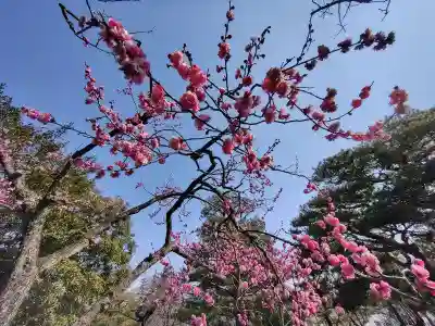 開成山大神宮(福島県)