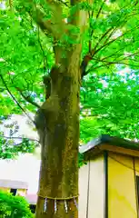 愛宕神社(茨城県)