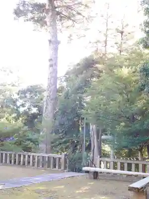 伊古乃速御玉比売神社の{uncategorized: "未分類", other: "その他", undefined: "問題あり", building: "その他建物", grave: "お墓", sacred_gate: "鳥居", guardian: "狛犬", statue: "像", buddha: "仏像", history: "歴史", nature: "自然", garden: "庭園", animal: "動物", pagoda: "塔", temizu: "手水舎", mountain_gate: "山門・神門", sanctuary: "本殿・本堂", subordinate: "末社・摂社", art: "芸術", scenery: "景色", jizo: "地蔵", ema: "絵馬", goshuin: "御朱印", omikuji: "おみくじ", items: "授与品その他", amulet: "お守り", goshuincho: "御朱印帳", eats: "食事", festival: "お祭り", votive_dance: "神楽", shichigosan: "七五三参", wedding: "結婚式", experience: "体験その他", initially: "初詣", around: "周辺", anti_infection: "感染症対策"}