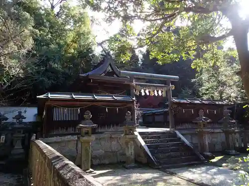 伊射奈岐神社の本殿