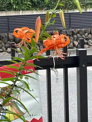 高麗神社の自然