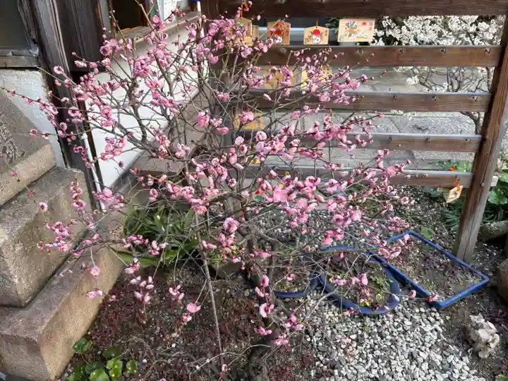 持明院(大阪府)