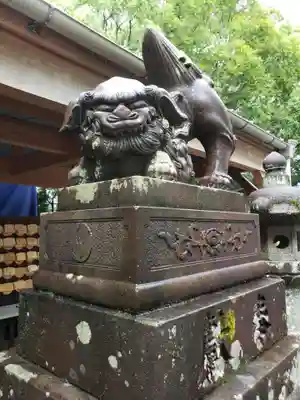 諫早神社(九州総守護 四面宮)の狛犬