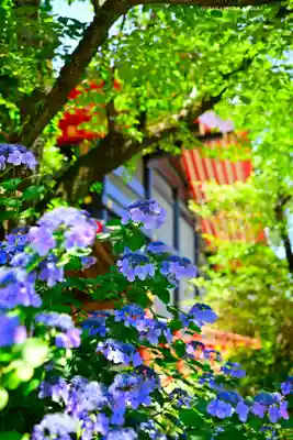 高幡不動尊 金剛寺の自然