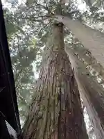 清高稲荷社(和歌山県)