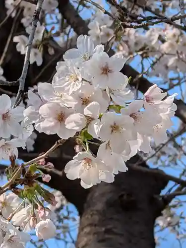 多田神社(東京都)