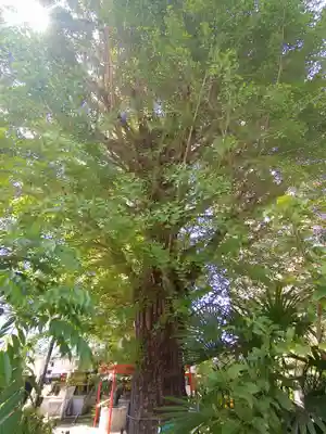 成子天神社(東京都)