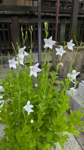 行願寺（革堂）(京都府)