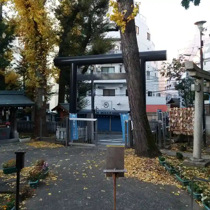 高円寺氷川神社の鳥居