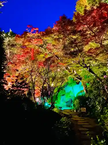 長谷寺(神奈川県)
