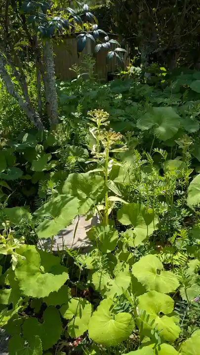圓光寺(京都府)