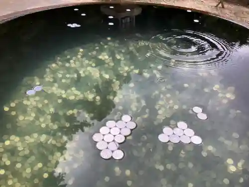 金刀比羅宮(香川県)