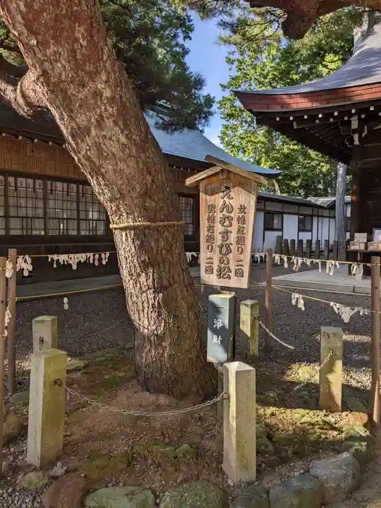 尾張冨士大宮浅間神社の自然