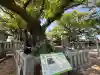 老松神社の{uncategorized: "未分類", other: "その他", undefined: "問題あり", building: "その他建物", grave: "お墓", sacred_gate: "鳥居", guardian: "狛犬", statue: "像", buddha: "仏像", history: "歴史", nature: "自然", garden: "庭園", animal: "動物", pagoda: "塔", temizu: "手水舎", mountain_gate: "山門・神門", sanctuary: "本殿・本堂", subordinate: "末社・摂社", art: "芸術", scenery: "景色", jizo: "地蔵", ema: "絵馬", goshuin: "御朱印", omikuji: "おみくじ", items: "授与品その他", amulet: "お守り", goshuincho: "御朱印帳", eats: "食事", festival: "お祭り", votive_dance: "神楽", shichigosan: "七五三参", wedding: "結婚式", experience: "体験その他", initially: "初詣", around: "周辺", anti_infection: "感染症対策"}