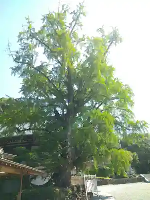 吉備津神社(岡山県)