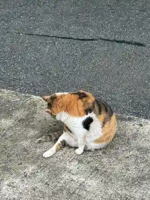 賀茂別雷神社(栃木県)