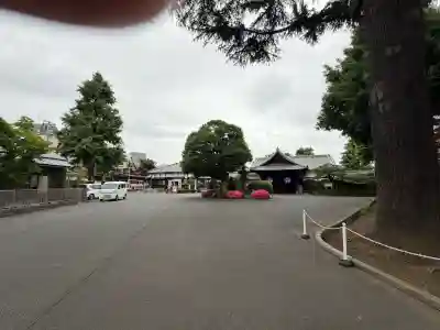 寛永寺(根本中堂)の{uncategorized: "未分類", other: "その他", undefined: "問題あり", building: "その他建物", grave: "お墓", sacred_gate: "鳥居", guardian: "狛犬", statue: "像", buddha: "仏像", history: "歴史", nature: "自然", garden: "庭園", animal: "動物", pagoda: "塔", temizu: "手水舎", mountain_gate: "山門・神門", sanctuary: "本殿・本堂", subordinate: "末社・摂社", art: "芸術", scenery: "景色", jizo: "地蔵", ema: "絵馬", goshuin: "御朱印", omikuji: "おみくじ", items: "授与品その他", amulet: "お守り", goshuincho: "御朱印帳", eats: "食事", festival: "お祭り", votive_dance: "神楽", shichigosan: "七五三参", wedding: "結婚式", experience: "体験その他", initially: "初詣", around: "周辺", anti_infection: "感染症対策"}