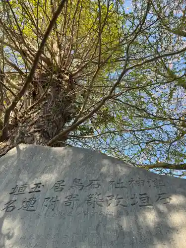 津神社(茨城県)