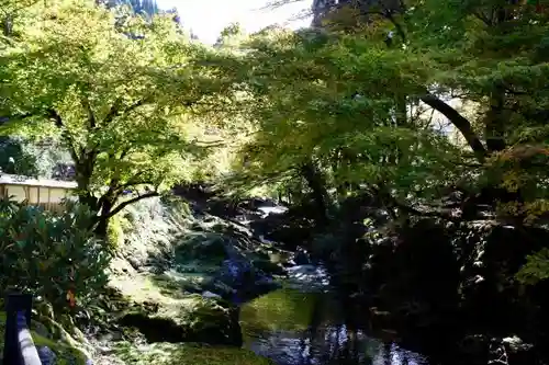 峰定寺の庭園