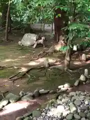 柴神社(福井県)