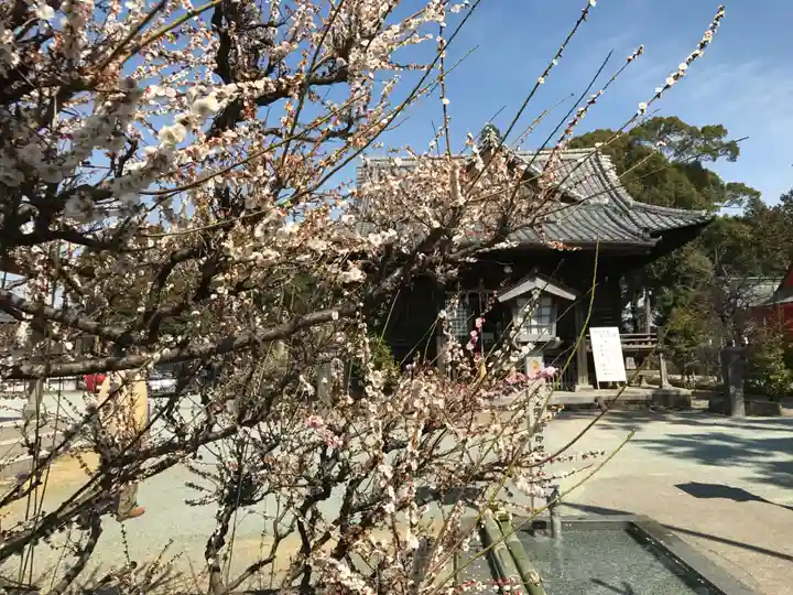 三笠神社(福岡県)